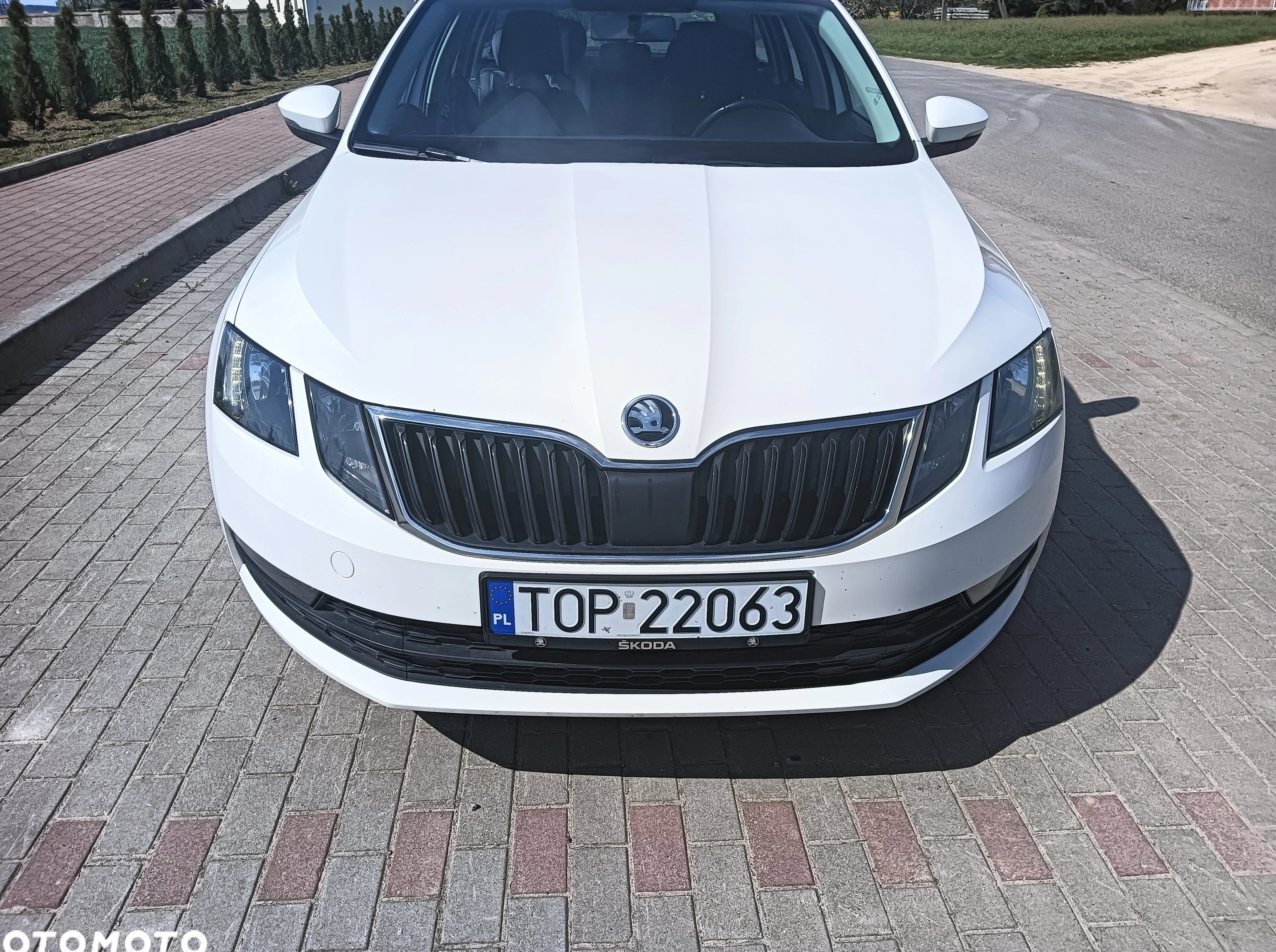 Skoda Octavia cena 40500 przebieg: 224000, rok produkcji 2019 z Opatów małe 37